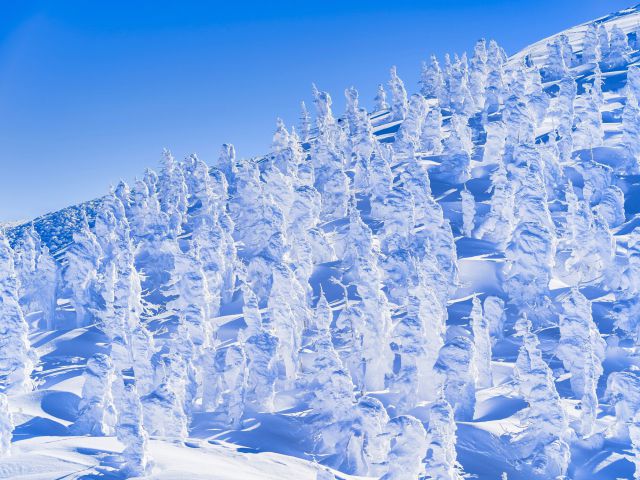 日帰りスキーの３つの交通手段と注意点